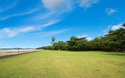 大分県杵築市住吉浜】野遊び浜キャンプ場（キツキテラス）フリーサイト