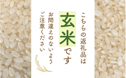 e30-a043] あきさかり 5kg 令和5年 福井県産 コシヒカリ系統品種【玄米 ...