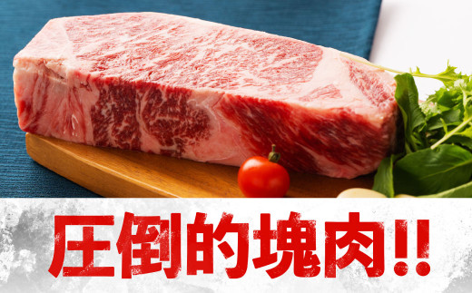 くまもと 黒毛和牛 1ポンド ステーキ 約500g 牛肉 肉
