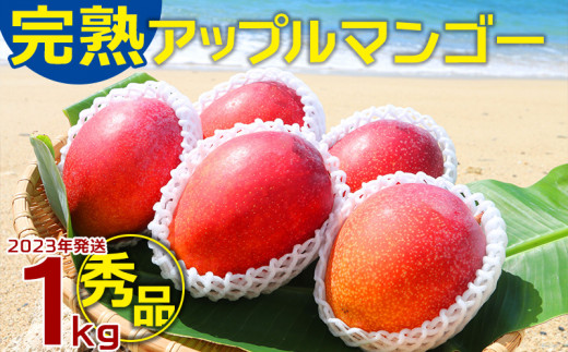 農園一番人気の完熟アップルマンゴー　秀品・約1kg【2023年発送】農園から直送！