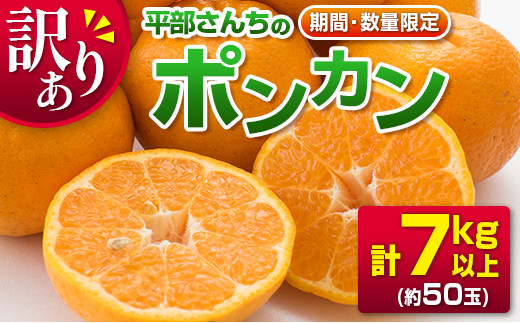 37 22 訳あり 数量限定 平部さんちのポンカン 計7kg以上 フルーツ 果物 柑橘 みかん 国産 宮崎県日南市 ふるさとチョイス ふるさと納税サイト