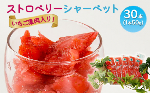 北海道 豊浦産 いちご果肉入り！50g×30本 イチゴシャーベット
