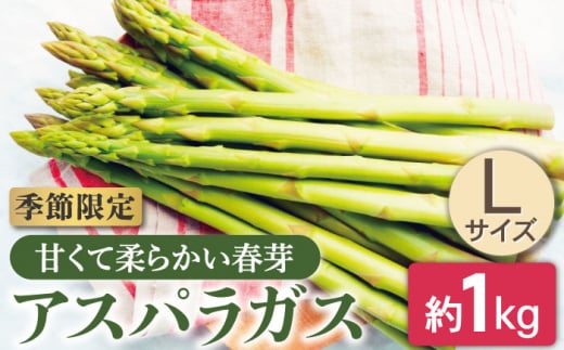 【先行受付】【数量限定】甘くて柔らかい春芽 アスパラガス Lサイズ 約1.0kg【さつき農園】[OBD002] / グリーンアスパラガス あすぱら ヤサイ 野菜 旬野菜 春野菜 アスパラガス アスパラ お弁当 おかず 春芽 はるめ アスパラベーコン 栄養 野菜 やさい ヤサイ 春野菜 801236 - 長崎県川棚町