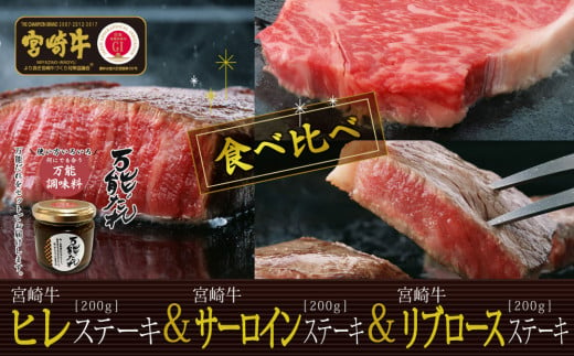 S-14 宮崎牛 ステーキ 食べ比べ セット 計600g 万能だれ付き