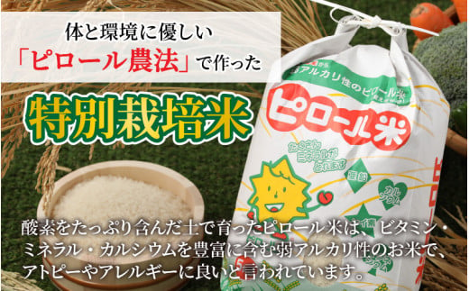 令和5年産 新米】【6ヶ月定期便】こだわりの米！弱アルカリ性の