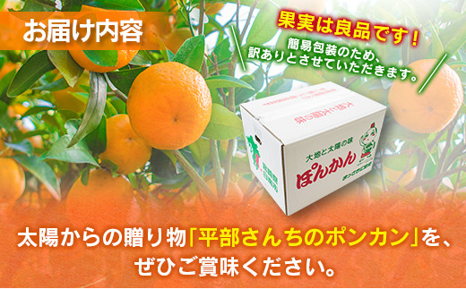 37 22 訳あり 数量限定 平部さんちのポンカン 計7kg以上 フルーツ 果物 柑橘 みかん 国産 宮崎県日南市 ふるさとチョイス ふるさと納税サイト