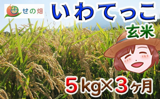 【2024年11月発送開始】 令和6年産 新米 岩手県産 いわてっこ 玄米 5kg×3ヶ月定期便 ／ 米 産地直送 農家直送 【せの畑】 689401 - 岩手県八幡平市