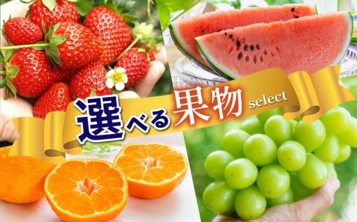 選べる果物セレクト みかん｜いちご｜すいか｜シャインマスカット 熊本県 和水町 フルーツ