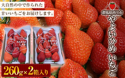 やよいひめ いちご2パック イチゴ 苺 フルーツ 果物 F4H-0085 522052 - 群馬県渋川市