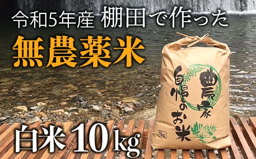 【新米】赤村産棚田米こだわりの夢つくし（精米）10kg J5-S