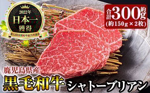 D0-088 《数量限定》鹿児島県産黒毛和牛シャトーブリアン約300g(約150g×2枚)【きりしま畜産】霧島市 国産 牛肉 ステーキ 赤身肉