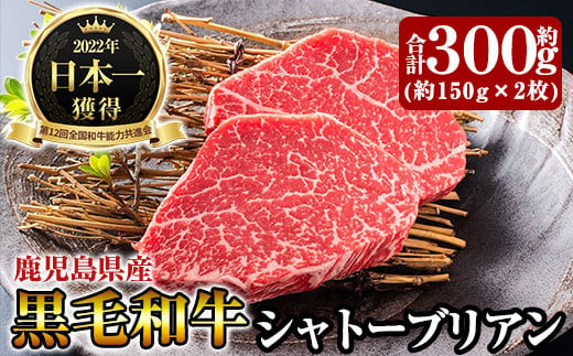 D0-088 《数量限定》鹿児島県産黒毛和牛シャトーブリアン約300g(約150g×2枚)【きりしま畜産】霧島市 国産 牛肉 ステーキ 赤身肉