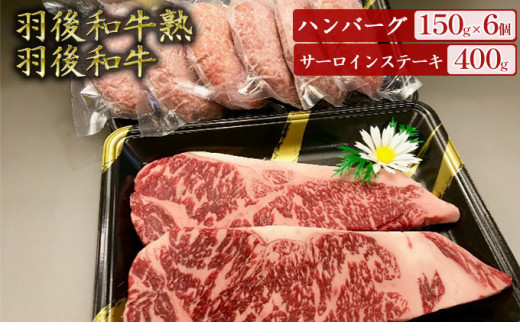 「羽後和牛」の生みの親 「羽後和牛 熟」ハンバーグ150g×6個＋「羽後和牛」サーロインステーキ400g 276102 - 秋田県羽後町