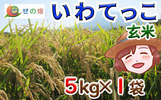 いわてっこ 玄米5kg×1袋【せの畑】 ／ 米 産地直送 農家直送 - 岩手県