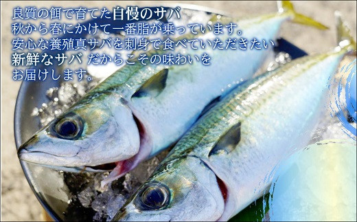 B0 110 とろける旨味と食感 鷹島のうまかごまサバ100g 4パック 長崎県松浦市 ふるさとチョイス ふるさと納税サイト