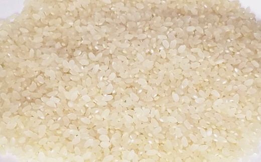 【大和のおばあちゃんの美味しいお米】白米10kg