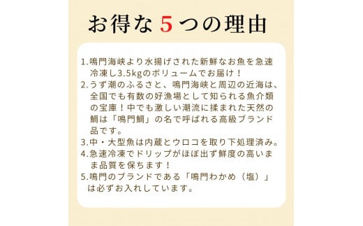 鳴門海峡 冷凍鮮魚 セット 3.5kg （魚種：4～5種） 魚 魚介類 鯛 タイ