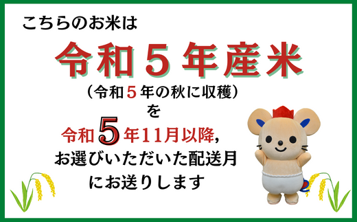 【令和5年産米】(赤米付き）特Aきぬむすめ【精白米】15kg岡山県総社市産〔令和5年11月配送〕 23-015-001