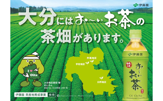 A-520 おーいお茶カテキン緑茶 1L×12本 ペットボトル 自販機用 伊藤園