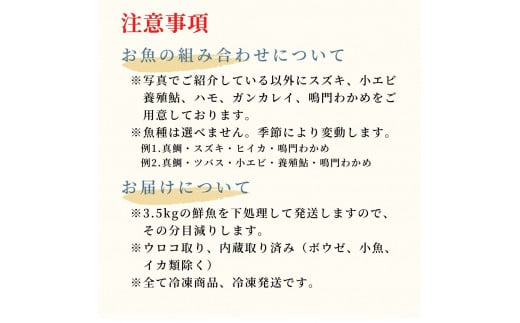 鳴門海峡 冷凍鮮魚 セット 3.5kg （魚種：4～5種） 魚 魚介類 鯛 タイ