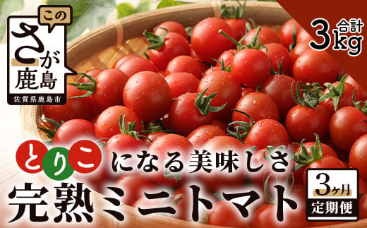 【先行予約】 完熟ミニトマト『Ricotomato』 【1kg×3回定期便】 【2024年12月から出荷】  E-68