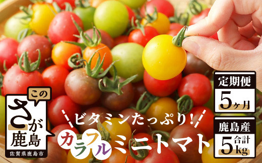 鹿島産　カラフルミニトマト 【1kg×5回定期便】