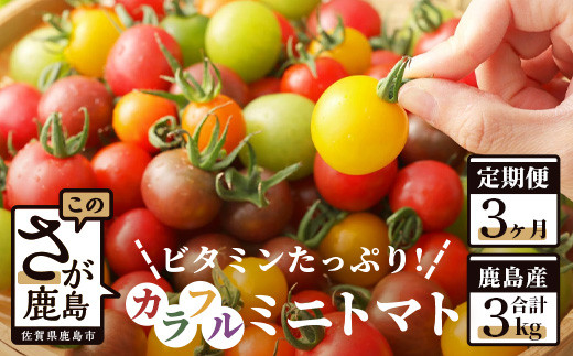 鹿島産　カラフルミニトマト 【1kg×3回定期便】