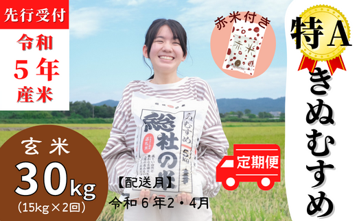 令和5年産米】(赤米付き）特Aきぬむすめ【精白米】15kg岡山県総社市産