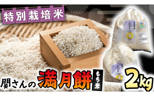 【 特別栽培米 】 関さんの もち米 「 満月餅 」 2kg 特別栽培農産物 認定米 米 コメ お米 餅米 