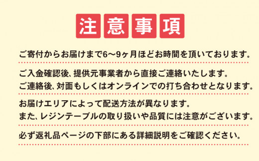 引き取り限定】オーダー品 レジン ダイニングテーブル 一点物-