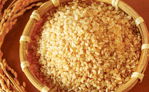 大自然の恵みをたっぷり受け、減農薬減化学肥料で育てた特別栽培米「さんべ浮布米」を100％原料とした米粉です。