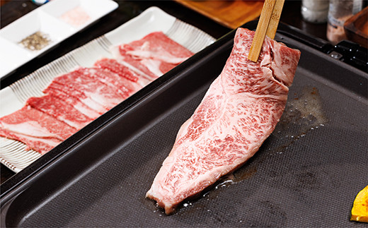 【４回定期便】佐賀牛定期便　※画像はイメージです