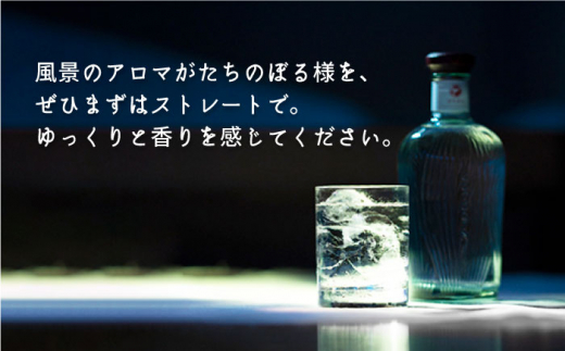 GOTOGIN ゴトジン 47度 500ml 五島つばき蒸溜所 クラフトジン-