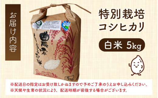 令和5年産 新米 無農薬・化学肥料不使用 永平寺町寺本の米 特別栽培