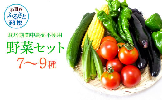 栽培期間中農薬不使用! 野菜セット(7-9種類)