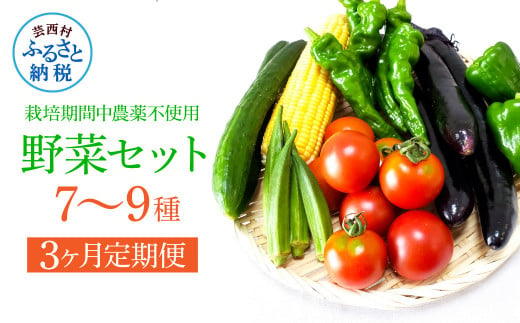 [3カ月定期便]栽培期間中農薬不使用! 野菜セット(7-9種類)
