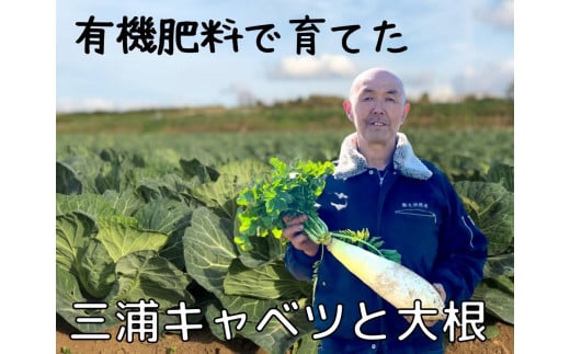 B18-005 有機肥料で育てたキャベツと大根セット　 229225 - 神奈川県三浦市