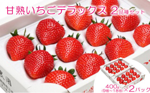 旬の大玉･甘熟いちごデラックス2品種セット [№5722-0140] 果物類 いちご 苺 イチゴ とちおとめ