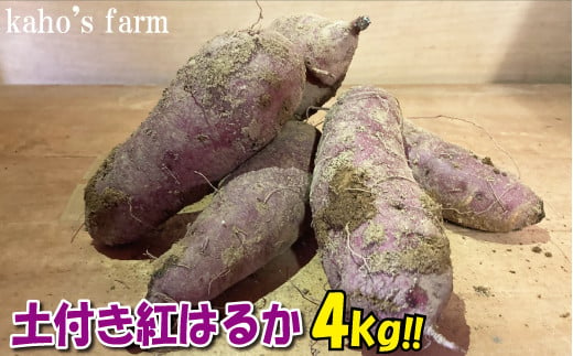 生いも 紅はるか 4kg 524407 - 茨城県高萩市