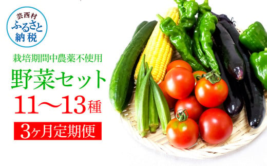 [3カ月定期便]栽培期間中農薬不使用! 野菜セット(11-13種類)