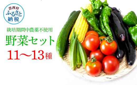 栽培期間中農薬不使用! 野菜セット(11-13種類)