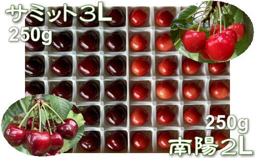4-013-023　グリーンドロップ農園のさくらんぼ サミット3L 南陽2L 各24個 【R5先行予約】