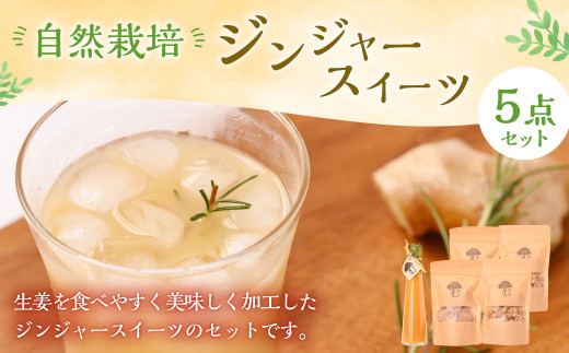 自然栽培 ジンジャー スイーツ セット 3種