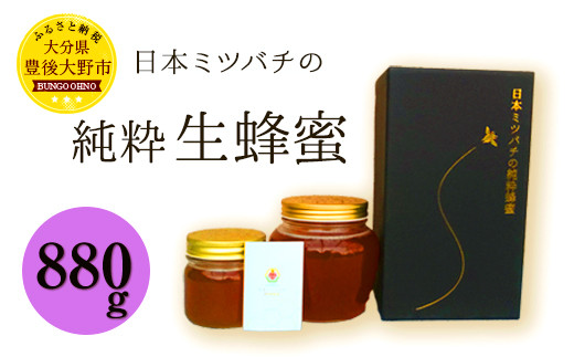 025-766 日本ミツバチ の 純粋 生蜂蜜 880g ハチミツ はちみつ 国産 生はちみつ