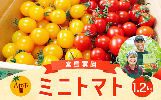 八代市産 宮島農園 ミニトマト (ミックス)1.2kg 生産者支援 高糖度