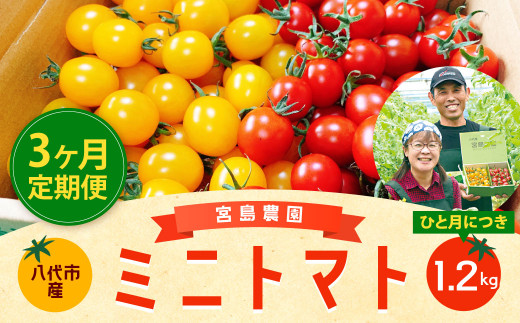 【 定期便 】 【3回発送】 ミニトマト (ミックス) 1.2kg×3回 八代市産 宮島農園