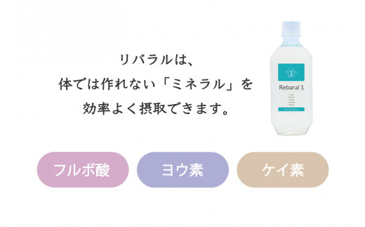 日向四億年の雫【素粒子機能水】、リバラル1 セット（F－1） - 宮崎県