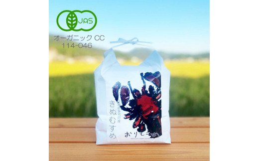 有機栽培きぬむすめ６kg 播州織リバーシブルエコバッグ[259] - 兵庫県