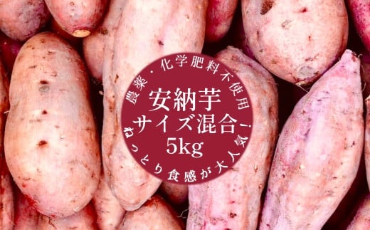 先行予約　サツマイモ（安納芋）５ｋｇ　農薬化学肥料不使用　（洗い）【R00228】 1504337 - 高知県土佐清水市