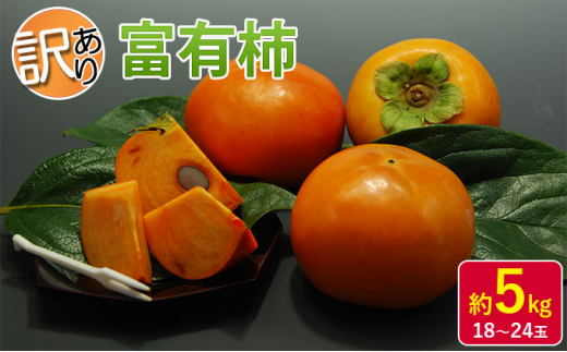 【訳あり】富有柿【柿】約5kg（18～24玉)（オンライン決済限定）※配送不可：離島